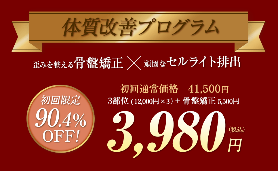 体質改善プログラム！初回限定90.4%OFF！3,980円（税込）